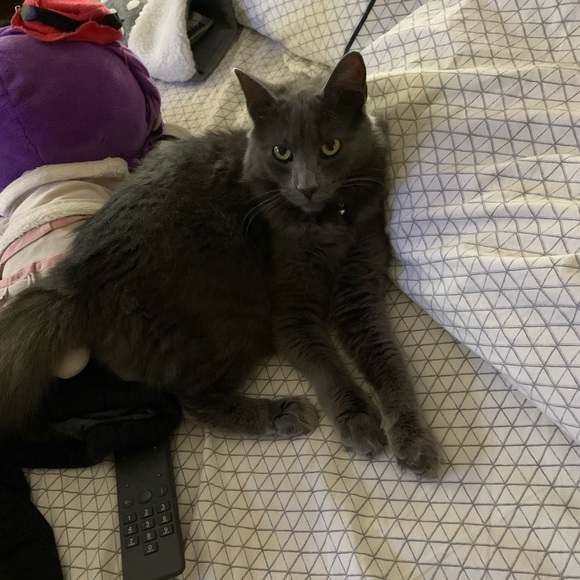 Join our new tag list !! Let’s help each other 💕 - Picture 4 of 7